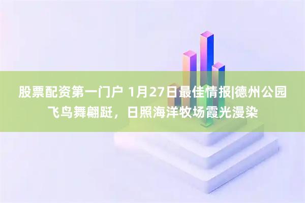 股票配资第一门户 1月27日最佳情报|德州公园飞鸟舞翩跹，日照海洋牧场霞光漫染